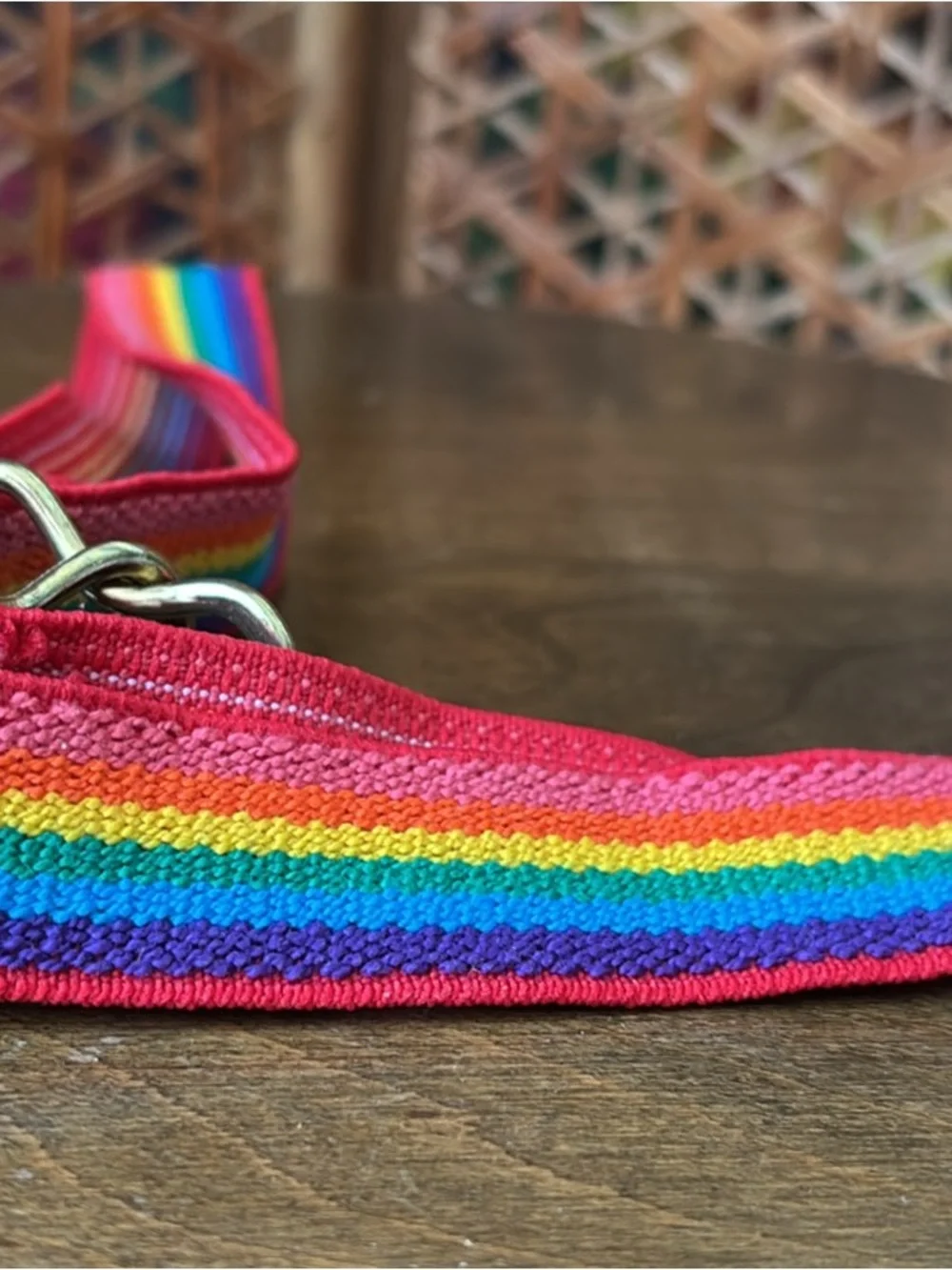 Red Rainbow Stripe Elastic Belt with Gold Interlocking Buckle